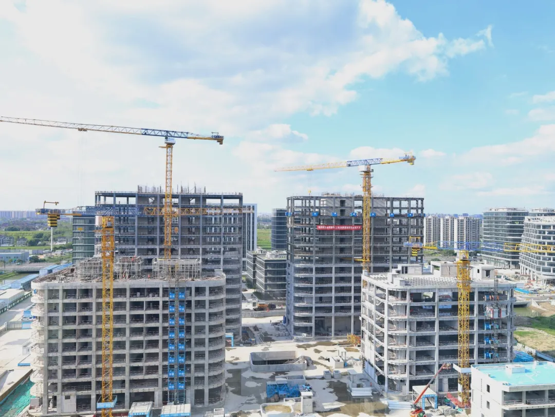 ͬ��ͬ�� ������ | 9599�������������ɷ�2024��������ȶ�̬����